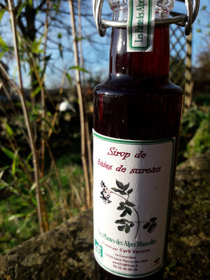Sirop de baies de sureau