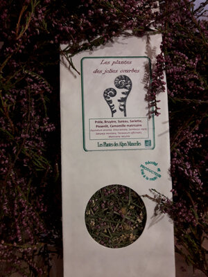 Les plantes des jolies courbes