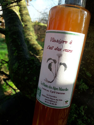 Vinaigre à l'ail des ours
