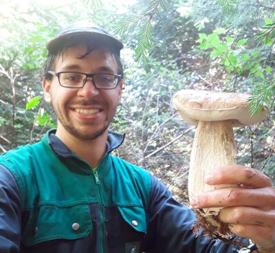 Champignons sec