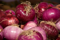 Oignons rouge sans traitement