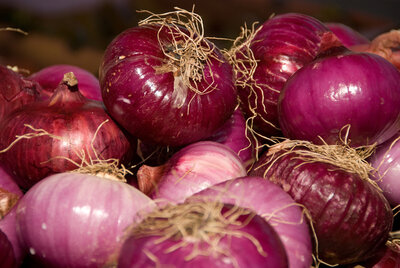 Oignons rouge sans traitement