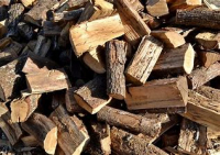 Bûches de bois de chauffage 30 cm