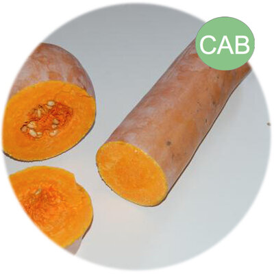 Courge longue de nice bio