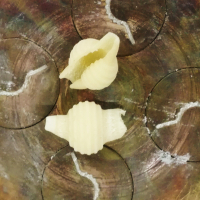 Bonbons secs sans œuf