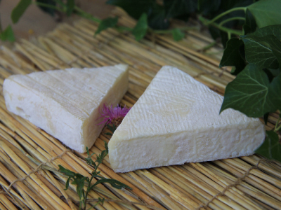 Tricorne fermier