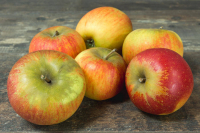 Pomme jonagored, pomme acidulé bio