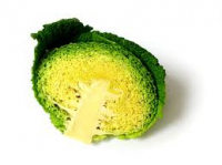 Demi chou vert