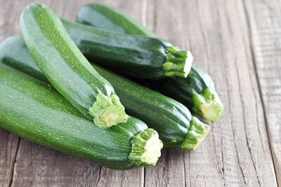 Courgette verte bio