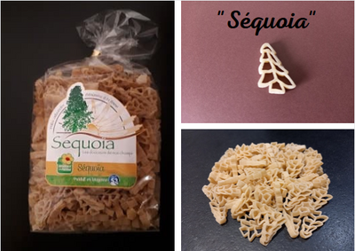 Séquoia-500g