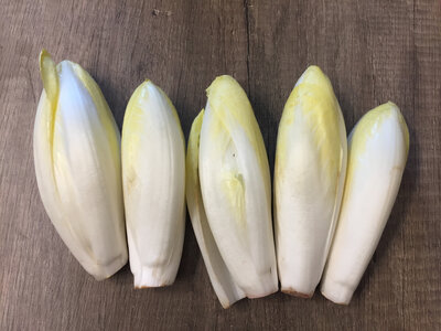 Endive
