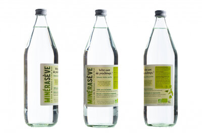 Cure de sève de bouleau