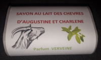 Savon lait chevre verveine