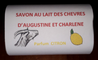 Savon au lait de chèvre citron