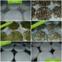 Box 6 fromages de chèvre natures