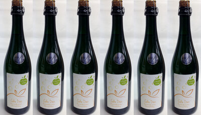 Cidre doux x 6