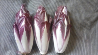 Endives rouges