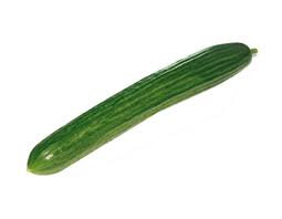 Concombre long