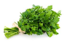 Plant de persil plat