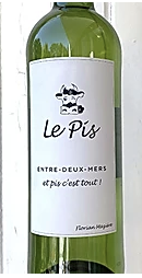 Le pis blanc
