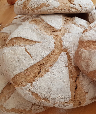 Grand barbon 2kg