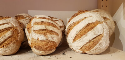 Pain p'tit rustique 500g