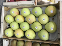 Pomme variété golden delicious
