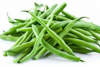 Haricot vert cueilli main bio