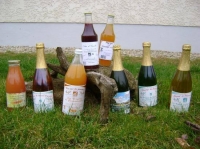 Pur jus de pomme-ortie 75cl