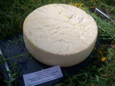 Tomme fraiche