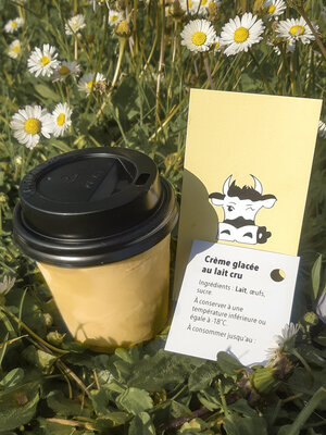Crème glacée bio