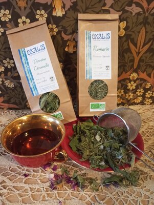 Tisane de cassis