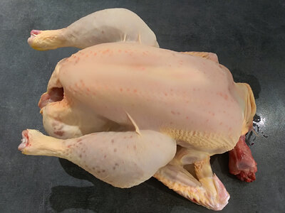 Poule de reforme