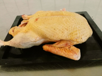 Canard à rôtir prêt à cuire