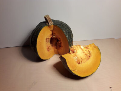 Courge shiatsu