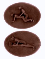 Médaillons coquins chocolat noir