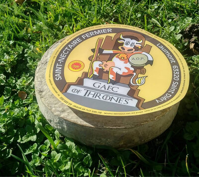 Saint-nectaire fermier a.o.p.