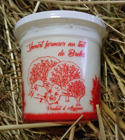 Yaourt de brebis nature