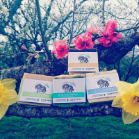 Savon au lait de chèvre nature