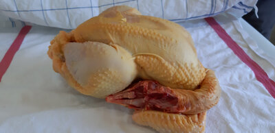 Demi poulet