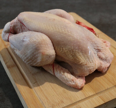 Poulet r.co