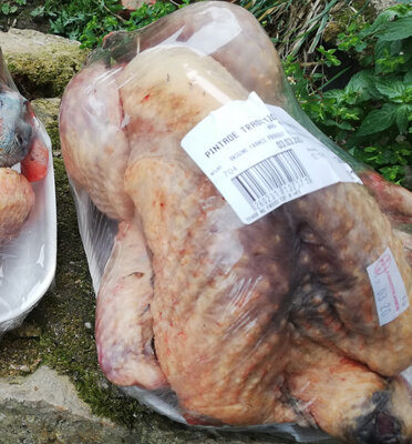 Pintade fermière du frety v