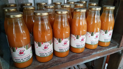 Petite soupe potiron rouge vif bio