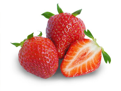 Fraises ( ferme de la pouletterie )