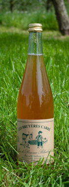 Jus de pommes-rhubarbe