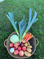 Petit panier de la semaine