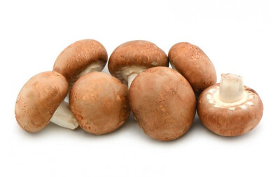 Champignons