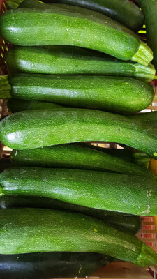 Courgettes  grosses