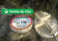 Saint nectaire fermier