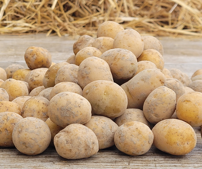 Pommes de terre mini grenaille 2,5kg